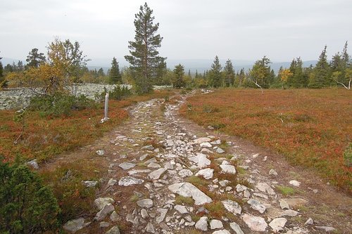 Äitivaellus tunturissa.